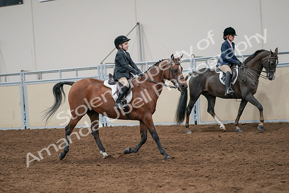 2020 - AB Morgan Horse - Sun, Sept 06 - 08000