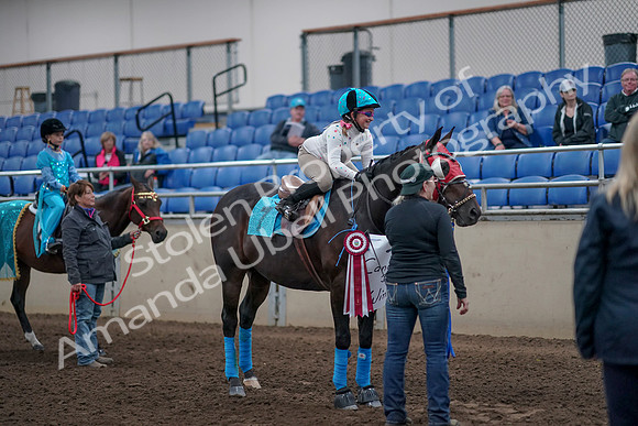 2019 Morgan Horse Show - Aug 31, 2019 - 10147
