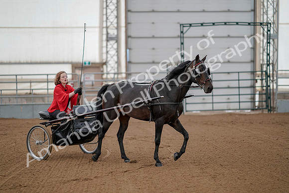 July 20, 2019 - 00177