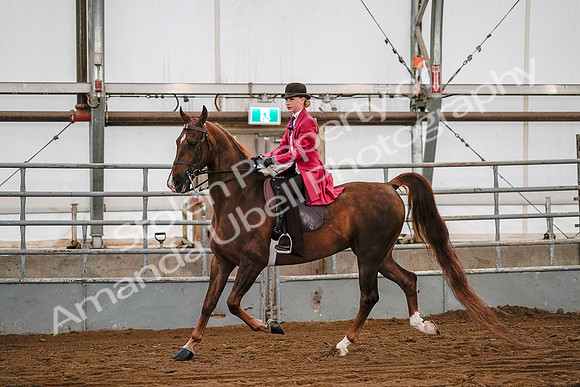 July 19, 2019 - 8741