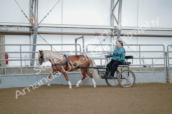 July 21, 2019 - 06647