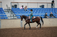 2019 Morgan Horse Show - Aug 30, 2019 - 16706