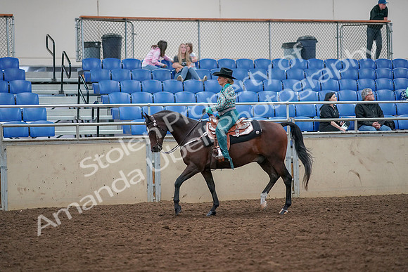 2019 Morgan Horse Show - Aug 30, 2019 - 16706