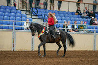 2020 - AB Morgan Horse - Sat, Sept 05 - 10359