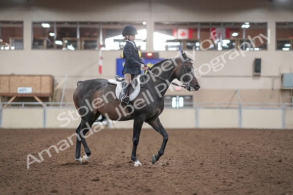 2019 Morgan Horse Show - Aug 31, 2019 - 19665