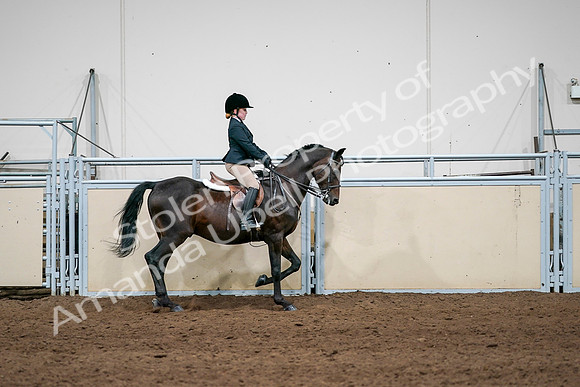 2020 - AB Morgan Horse - Sun, Sept 06 - 07977