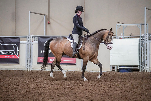 Spring Fling - Saturday - April 20, 2019  -  04652