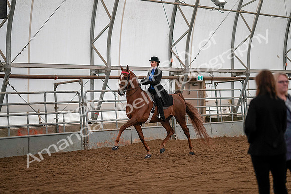 July 19, 2019 - 10570