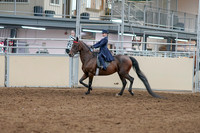 2020 - AB Morgan Horse - Sat, Sept 05 - 04743