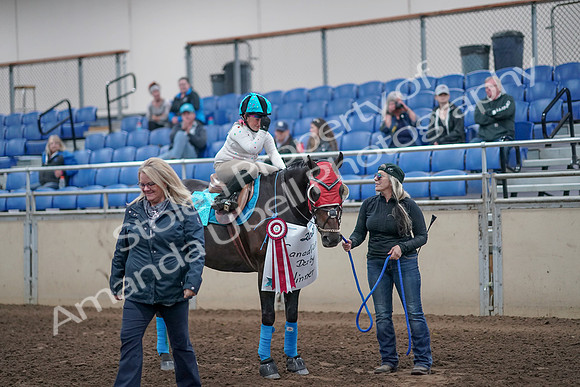 2019 Morgan Horse Show - Aug 31, 2019 - 10213