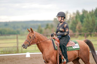 2019 Morgan Horse Show - Aug 30, 2019 - 00212