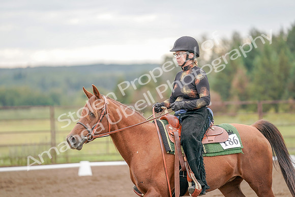 2019 Morgan Horse Show - Aug 30, 2019 - 00212