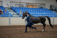 2020 - AB Morgan Horse - Fri, Sept 04 - 00676