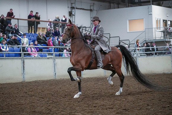 Spring Fling - Saturday - April 20, 2019  -  00441