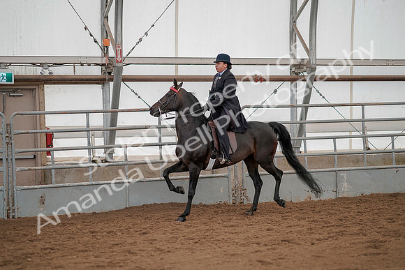July 20, 2019 - 04484