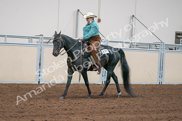 2020 - AB Morgan Horse - Sun, Sept 06 - 01582