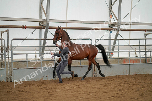 July 19, 2019 - 1249