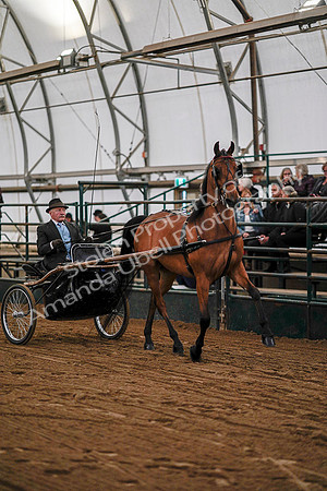 July 19, 2019 - 6930