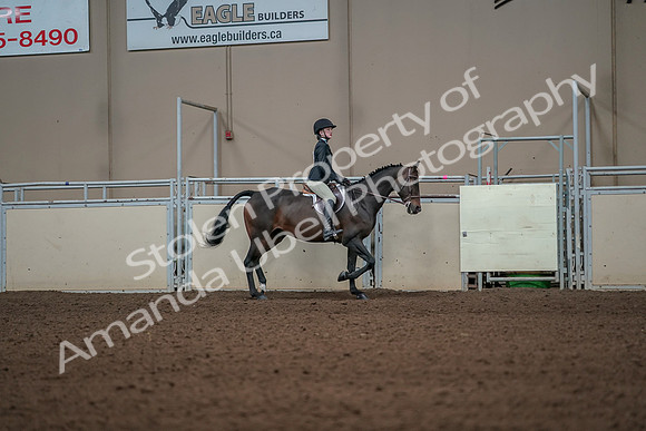 2019 Morgan Horse Show - Aug 31, 2019 - 05153