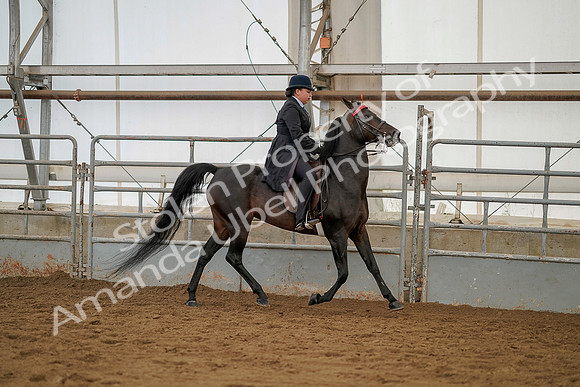 July 20, 2019 - 04508