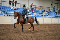 2020 - AB Morgan Horse - Sat, Sept 05 - 06867