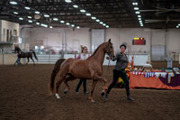 2019 Morgan Horse Show - Aug 31, 2019 - 01024
