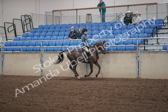 2019 Morgan Horse Show - Aug 31, 2019 - 07479