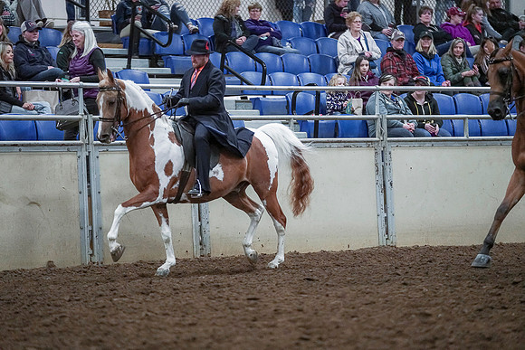 Spring Fling - Saturday - April 20, 2019  -  00732