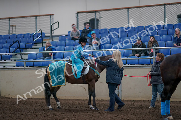 2019 Morgan Horse Show - Aug 31, 2019 - 10201