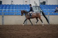 2019 Morgan Horse Show - Sept 01, 2019 - 08515