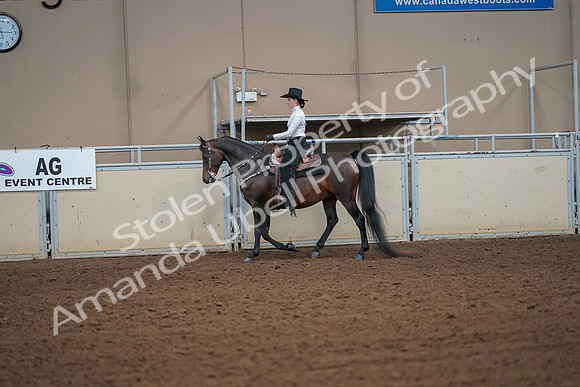 2019 Morgan Horse Show - Aug 30, 2019 - 16910