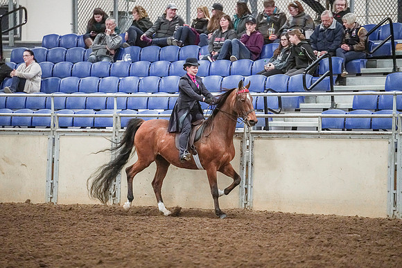 Spring Fling - Saturday - April 20, 2019  -  04487
