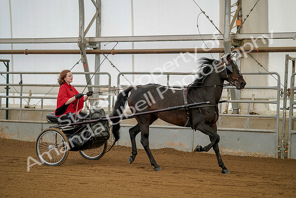 July 20, 2019 - 00204