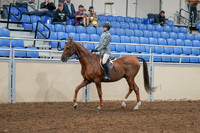 2020 - AB Morgan Horse - Sat, Sept 05 - 02605