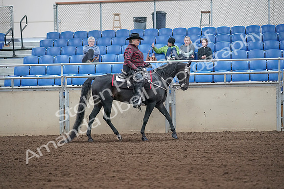 2019 Morgan Horse Show - Aug 31, 2019 - 10756