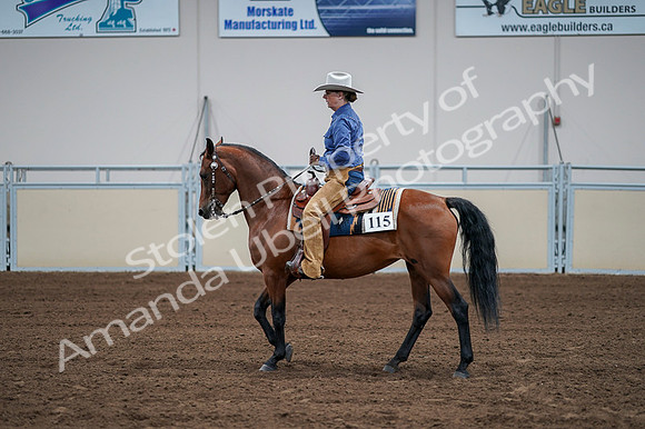 2020 - AB Morgan Horse - Fri, Sept 04 - 00173