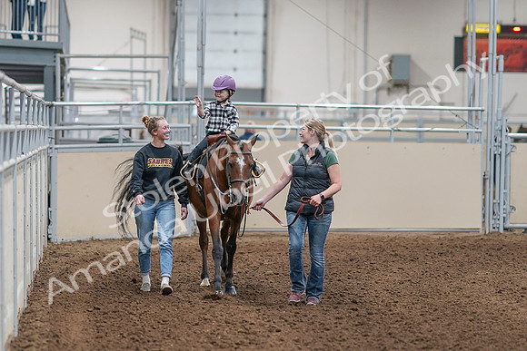 2020 - AB Morgan Horse - Sat, Sept 05 - 10067