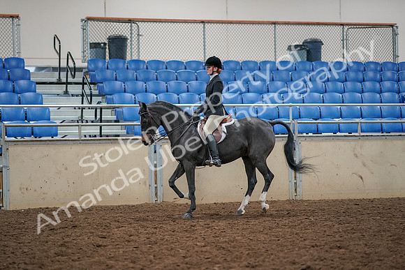 2019 Morgan Horse Show - Aug 30, 2019 - 23419