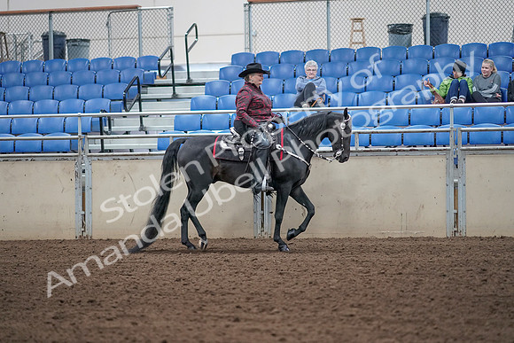 2019 Morgan Horse Show - Aug 31, 2019 - 10754