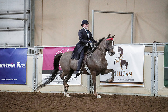 Spring Fling - Saturday - April 20, 2019  -  04251