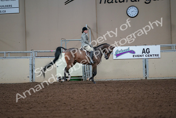 2019 Morgan Horse Show - Aug 30, 2019 - 17525