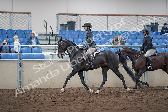2019 Morgan Horse Show - Aug 31, 2019 - 14984