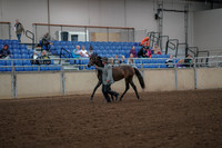 2019 Morgan Horse Show - Aug 30, 2019 - 25675
