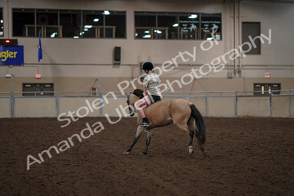 2019 Morgan Horse Show - Aug 30, 2019 - 31262