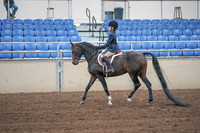 2019 Morgan Horse Show - Sept 01, 2019 - 05489
