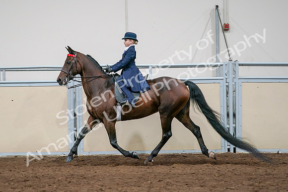2020 - AB Morgan Horse - Sat, Sept 05 - 04937