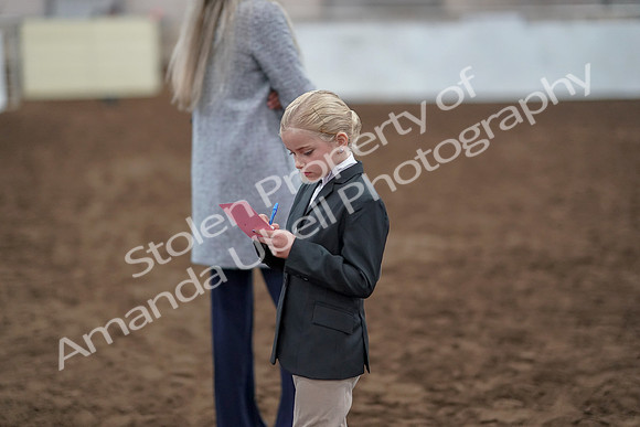 2019 Morgan Horse Show - Aug 31, 2019 - 03948