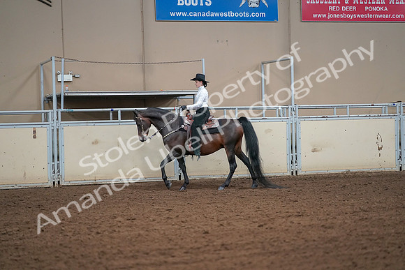 2019 Morgan Horse Show - Aug 30, 2019 - 16906