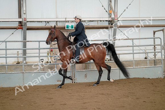 July 21, 2019 - 01675