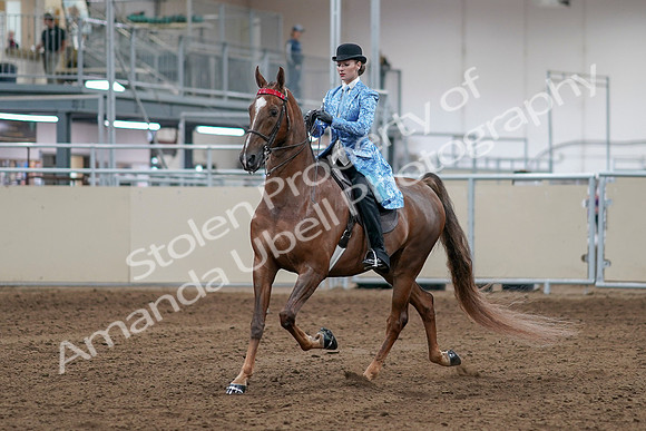 2020 - AB Morgan Horse - Sat, Sept 05 - 06108
